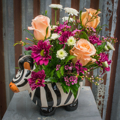 Baby Zebra from Marion Flower Shop in Marion, OH